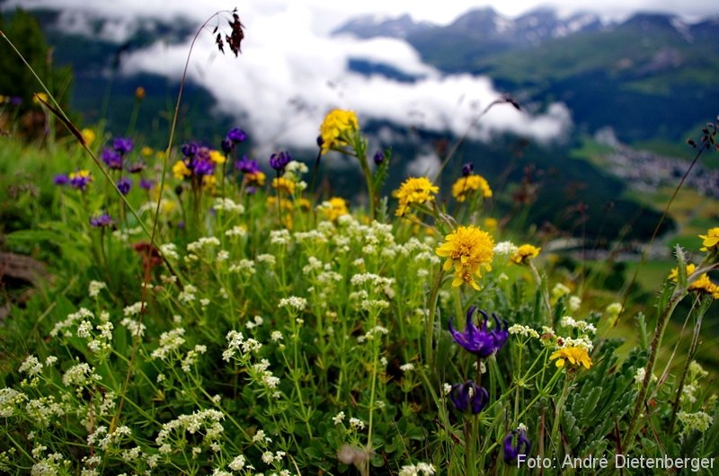 Wanderung