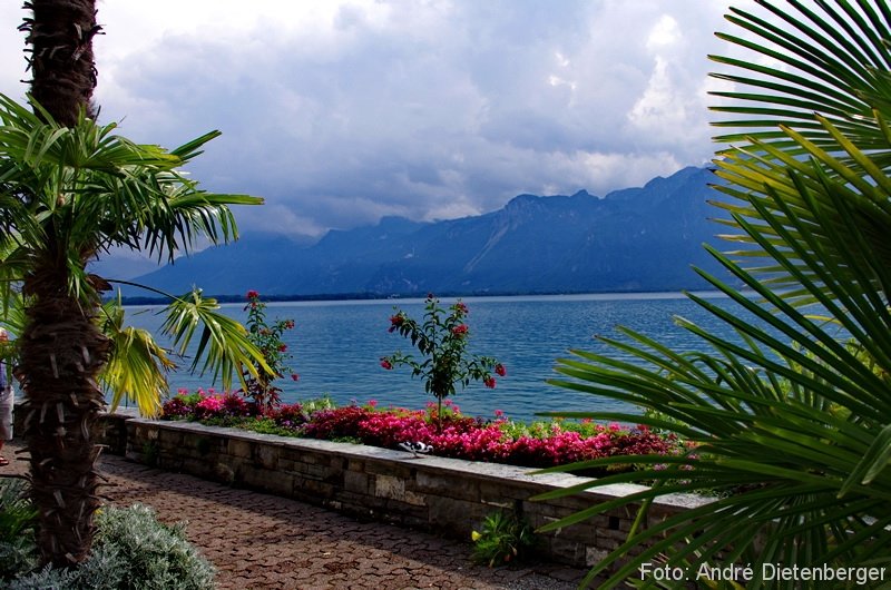 Montreux - Promenade