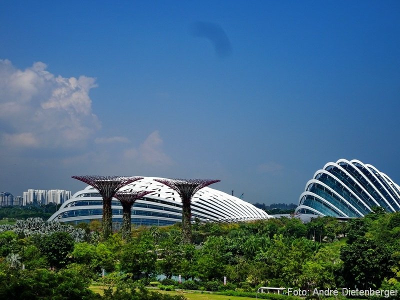 Singapore - Gardens by the bay