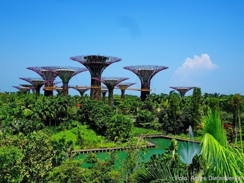 Singapore - Gardens by the bay