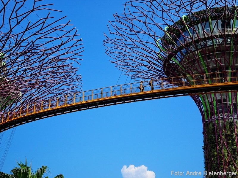 Singapore - Gardens by the bay