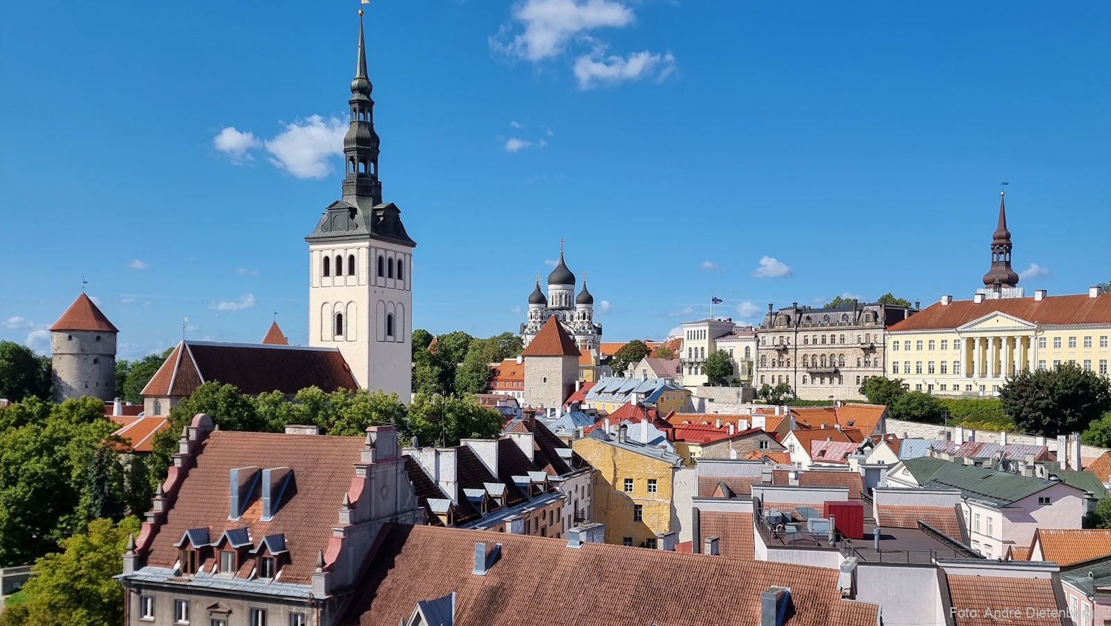 Über den Dächern Tallinns