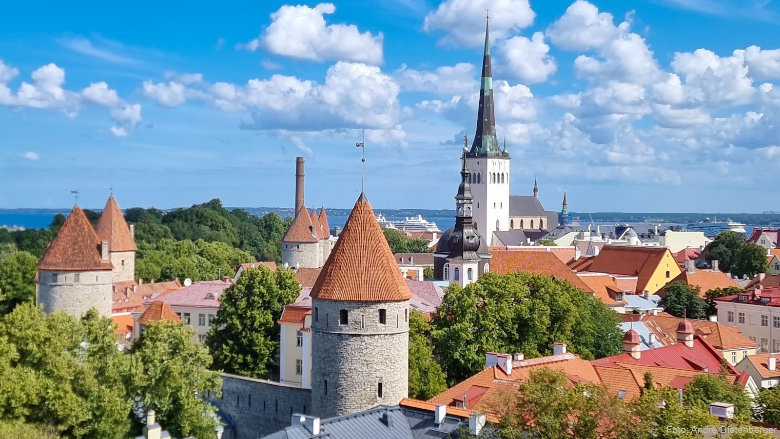 Blick über Dächer und Türme zum Hafen Tallinns