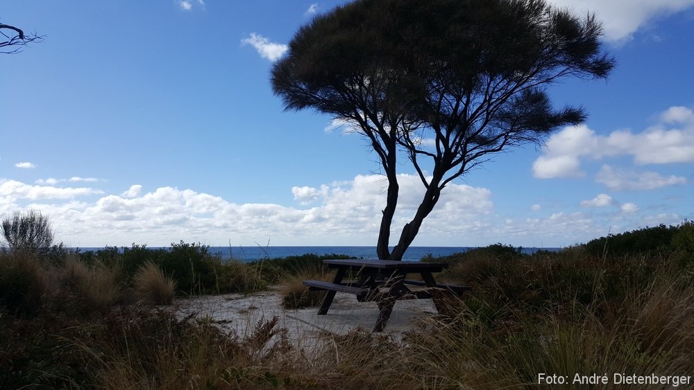 Bay Of Fires - Camper Stellplatz