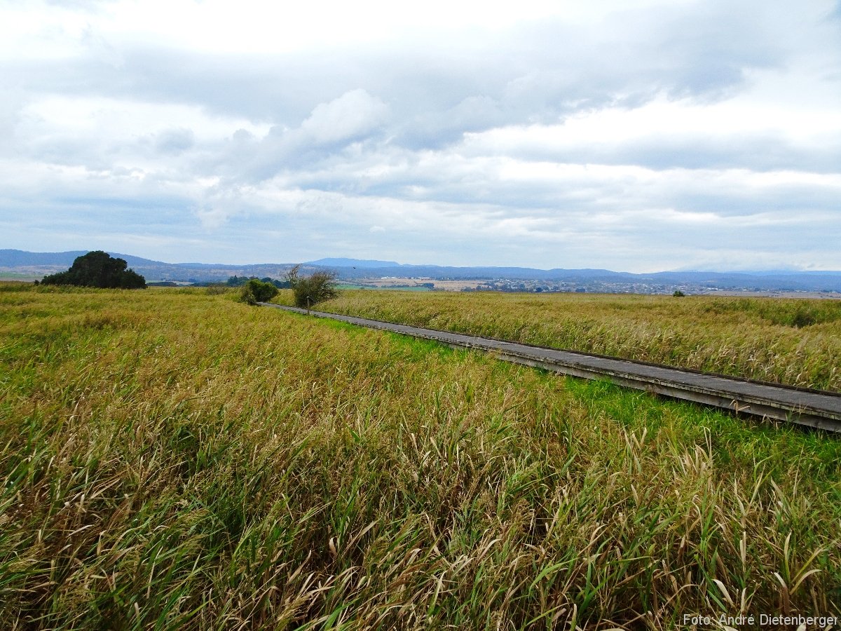 Tamar Island Wetlands