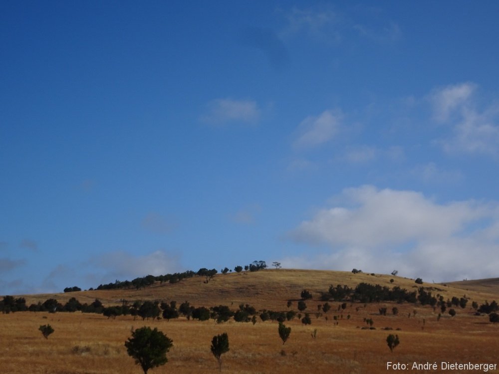 Landschaft