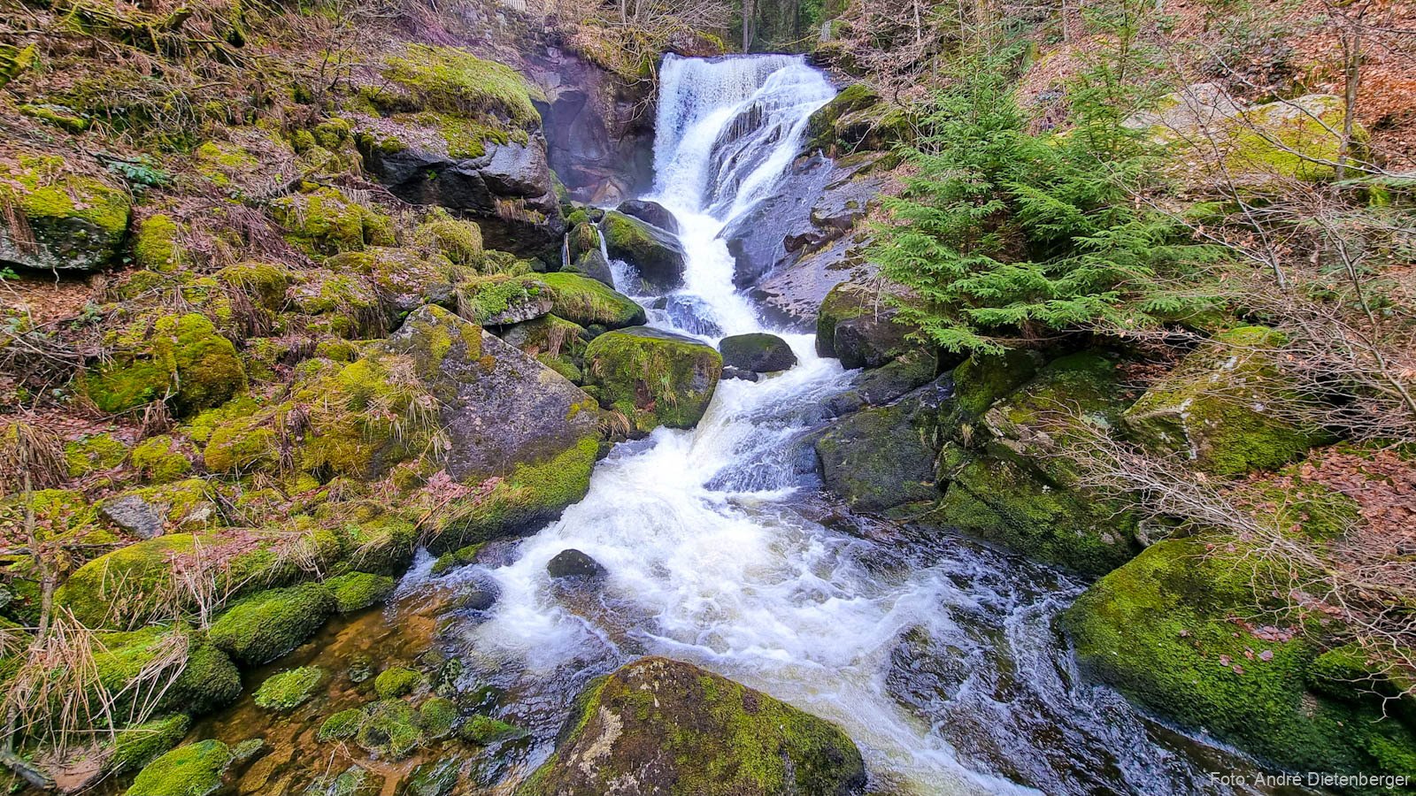 Triberger Wasserfälle - Kaskade