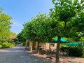 Erlebnispark Tripsdrill - Wege und Rastmöglichkeiten