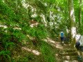 Treppen zum Uracher Wasserfall