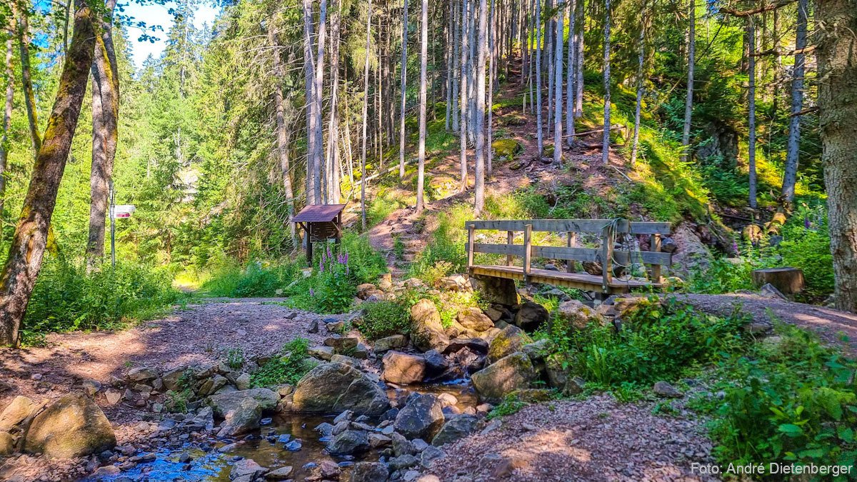 Steg am Roodbach Wasserfall