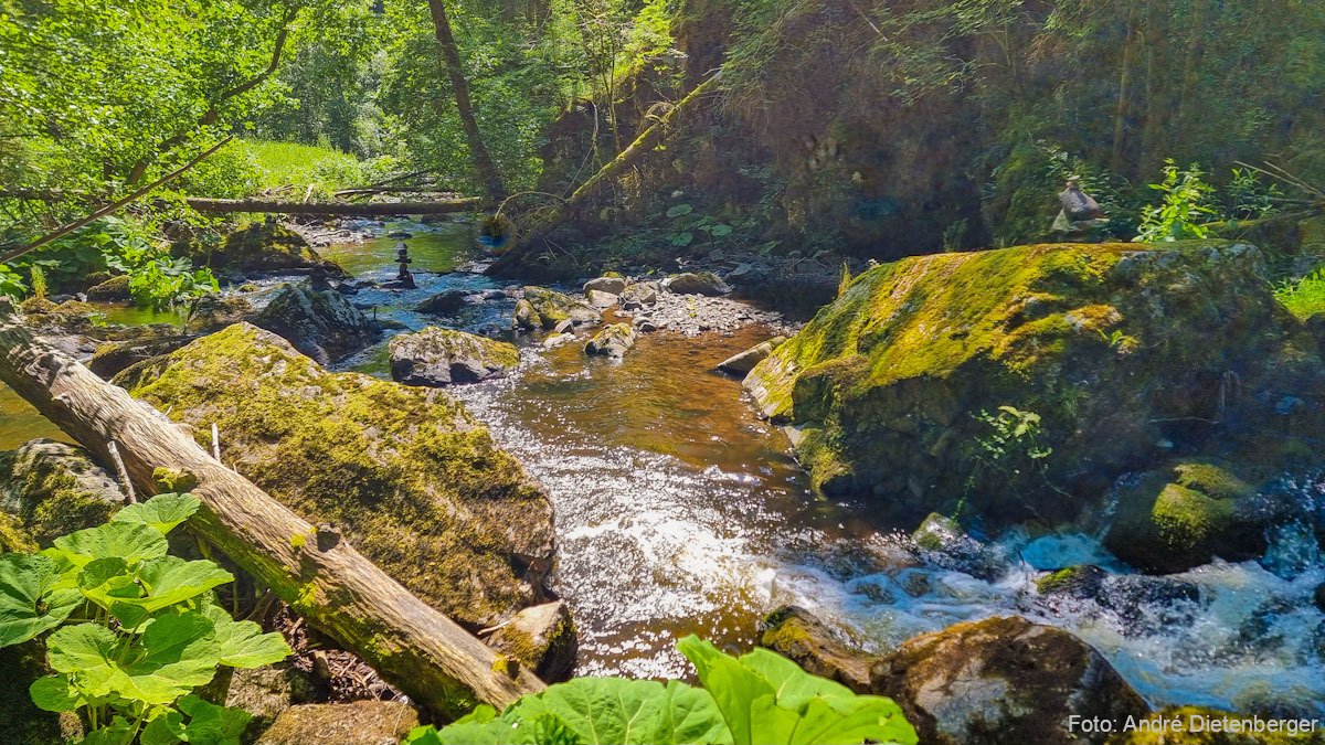 Haslachschlucht