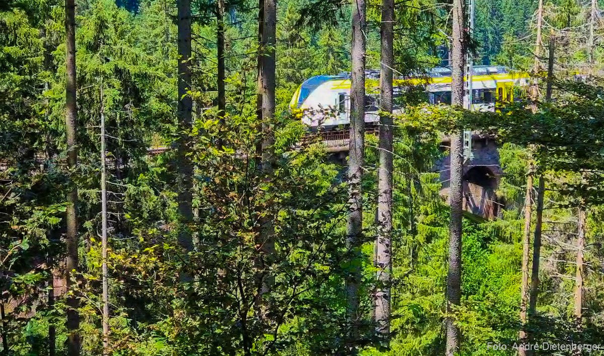 Dreiseenbahn auf dem Schwendeholzdobelbrücke