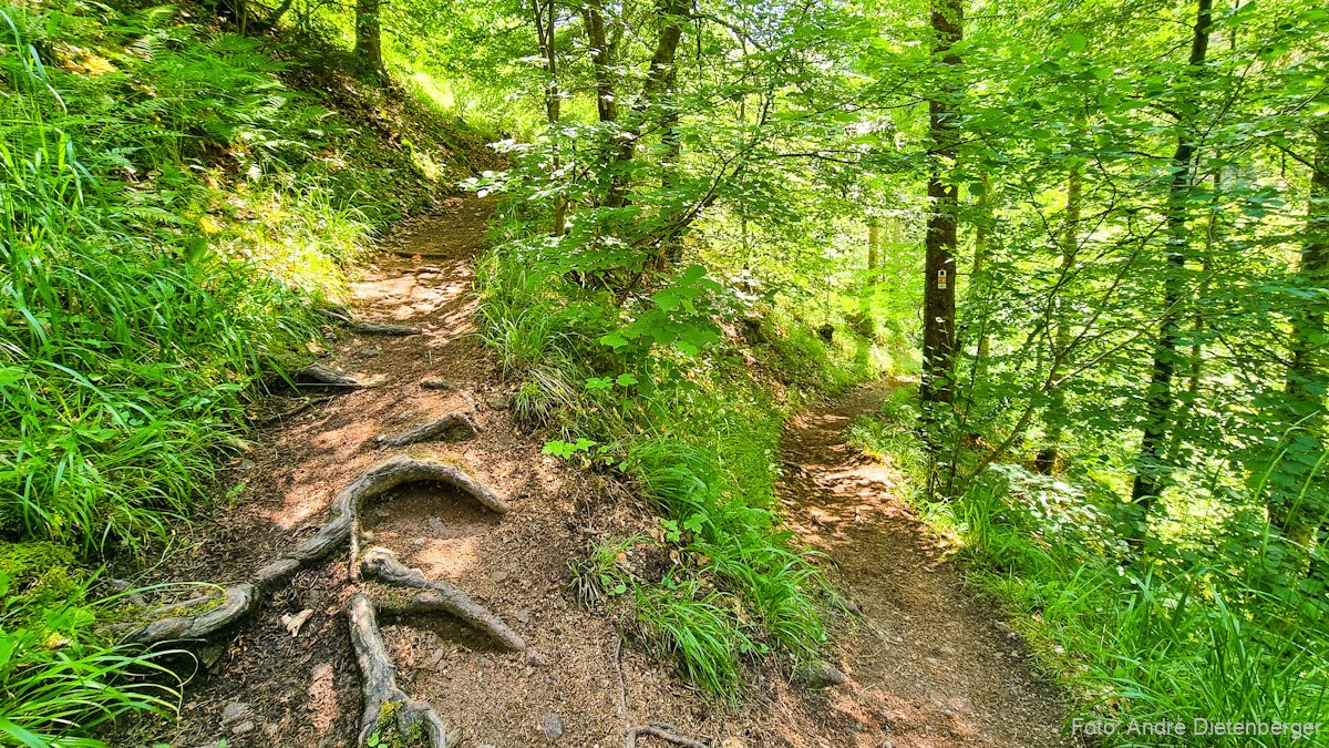 schmaler Wanderweg in die Schlucht