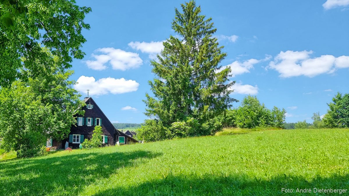 Am Ende der Tour öffnet sich die Landschaft