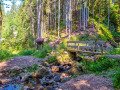 Steg am Roodbach Wasserfall