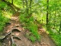 schmaler Wanderweg in die Schlucht