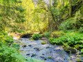Wutach