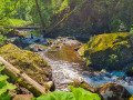 Haslachschlucht