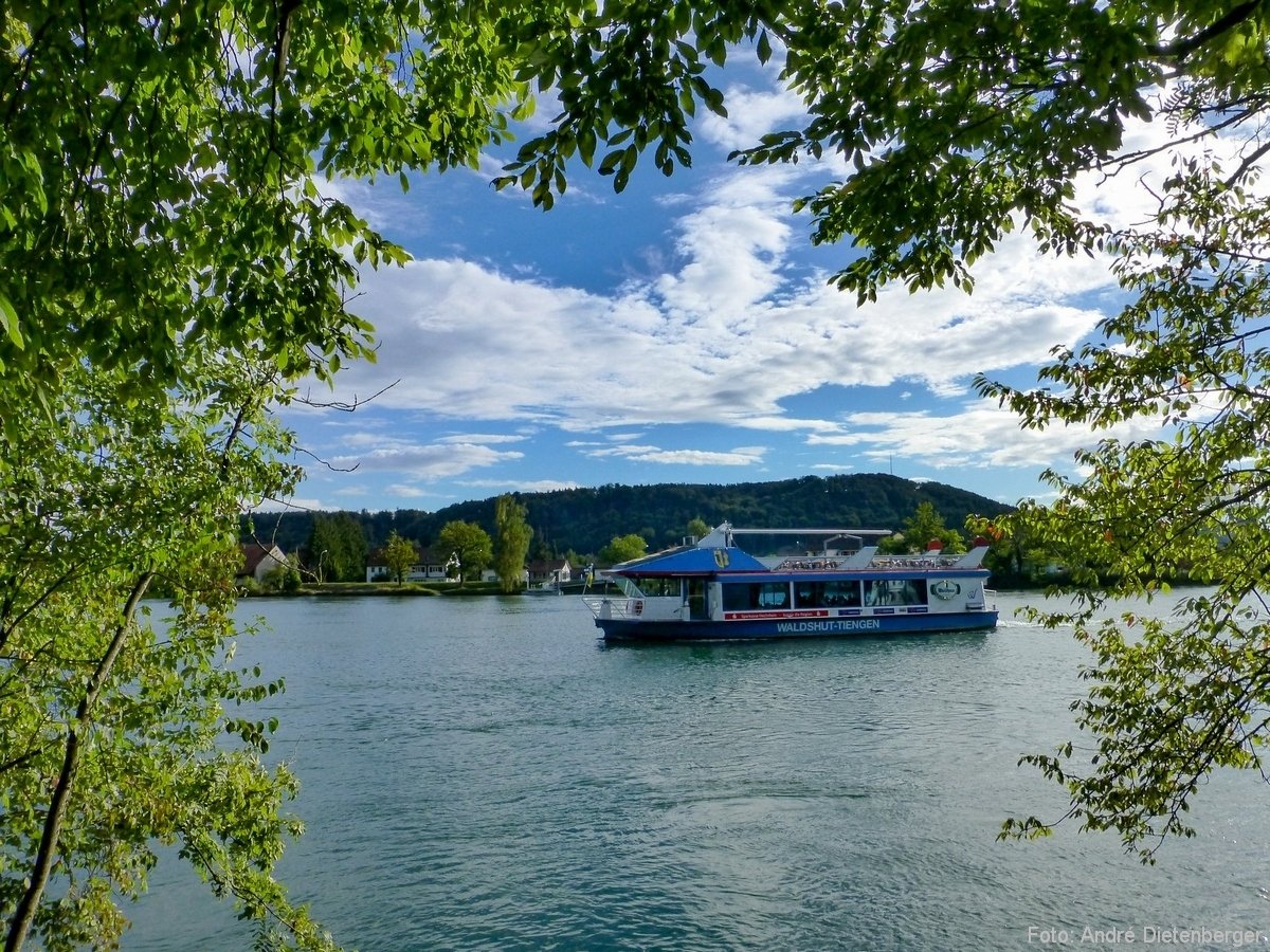 Waldshut Fähre