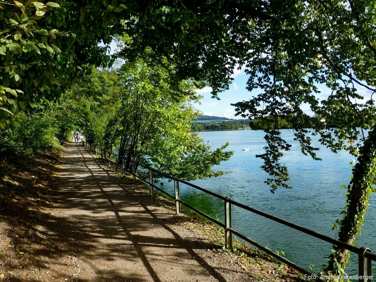 Rheinpromenade