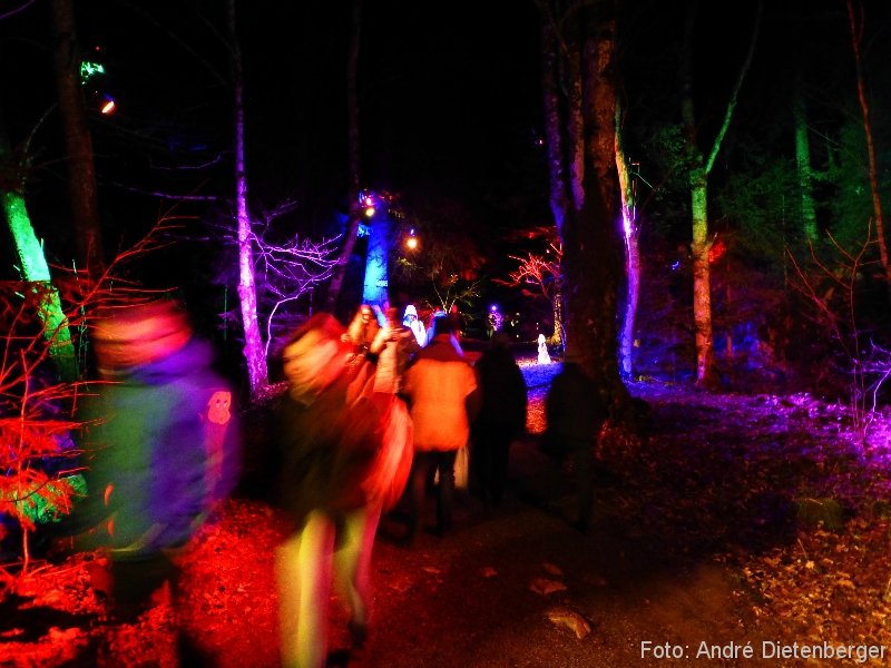 Weihnachtsmarkt Ravennaschlucht - Elfenwald