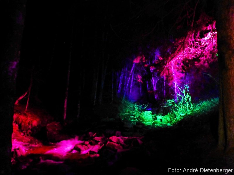 Weihnachtsmarkt Ravennaschlucht - Elvenwald Bach