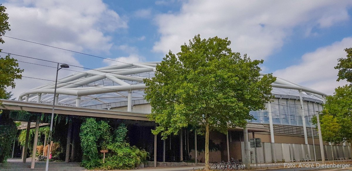 Godwanaland Halle außen