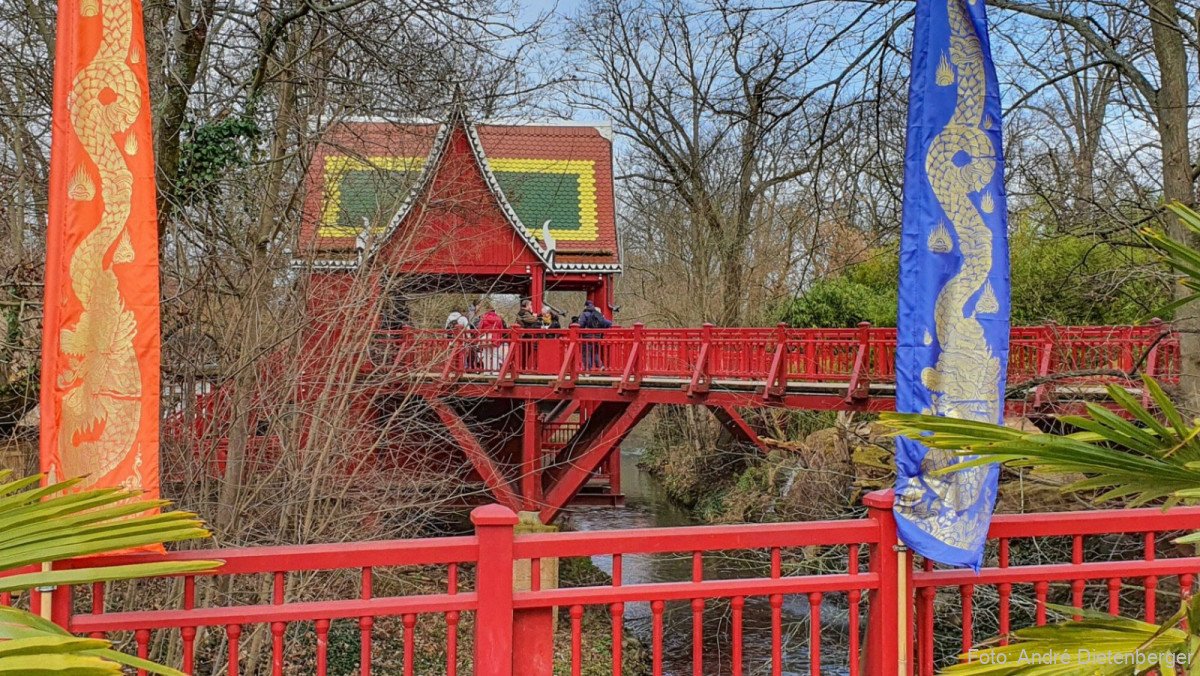 Asiatisches Waldgehege