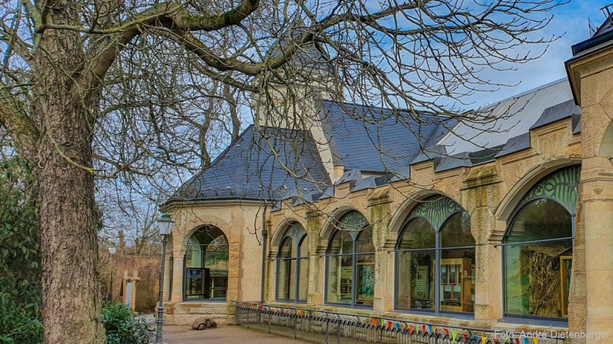 Tieraffenhaus