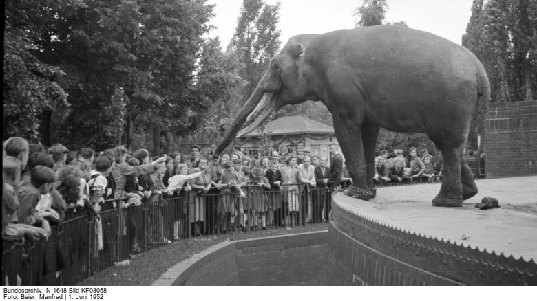 Bundesarchiv N .1648 Bild-KF03058 Foto: Beier, Manfred 1. Juni 1952