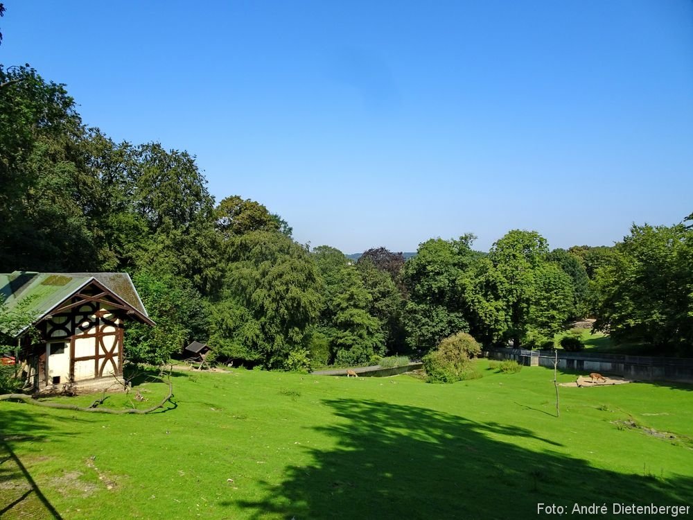 Zoo Wuppertal - Freigehege