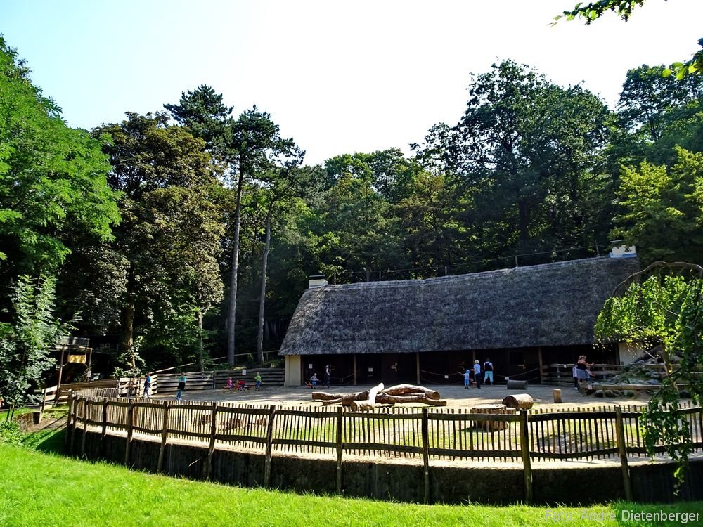 Zoo Wuppertal - Streichelzoo