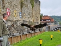 Burg Guttenberg mit der Deutschen Greifenwarte - Flug