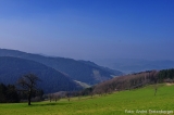 Oberharmersbach Wanderung Oberharmersbach Wanderung