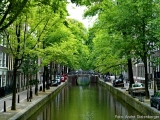 Amsterdam - Gracht Amsterdam - Gracht