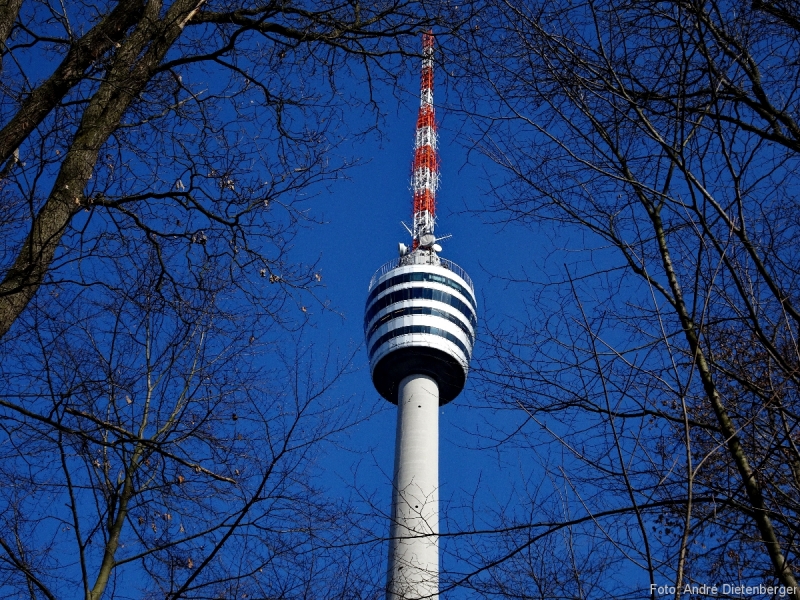 Fernsehturm - Wald Fernsehturm - Wald