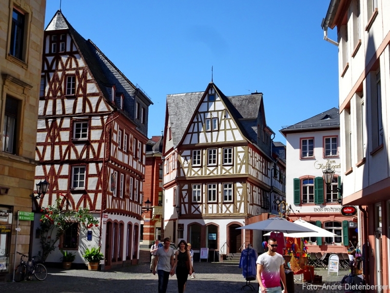 Kirschgarten Kirschgarten