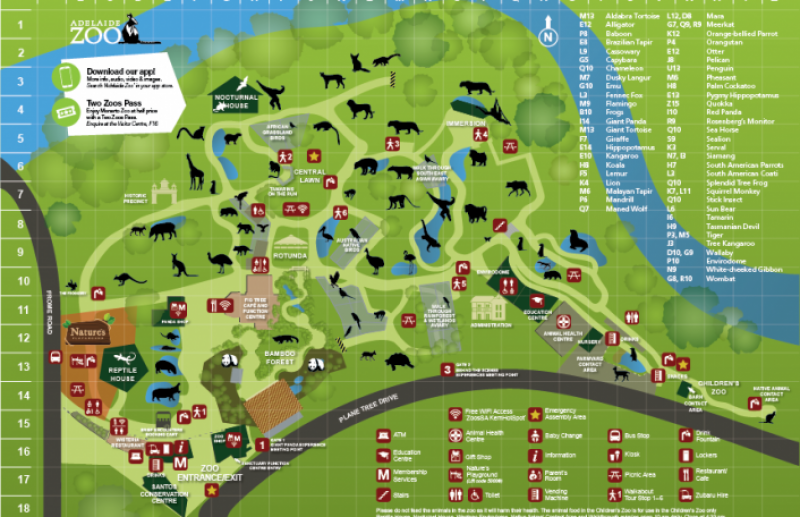 6918  800x600 Adelaide Zoo Map 706x456 