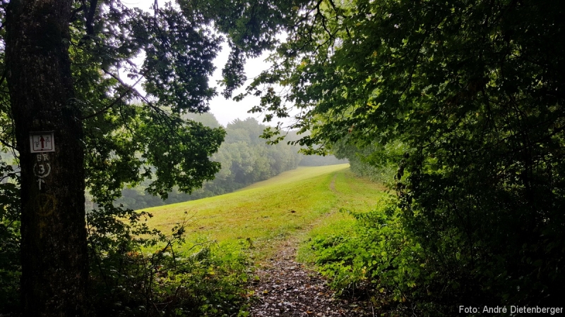 Wandern Wandern