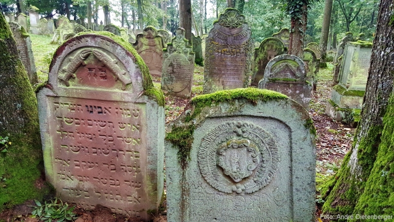 https://reisebloegle.de/wp-content/gallery/cache/6956__800x600_20170917_103522.jpg
