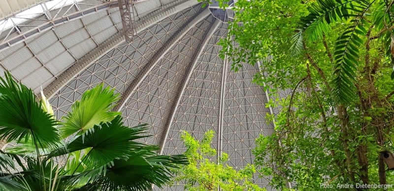 Tropical Islands Regenwald und Halle Tropical Islands Regenwald und Halle