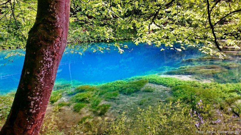 Blautopf Blautopf