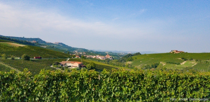 Blick auf Barolo Blick auf Barolo