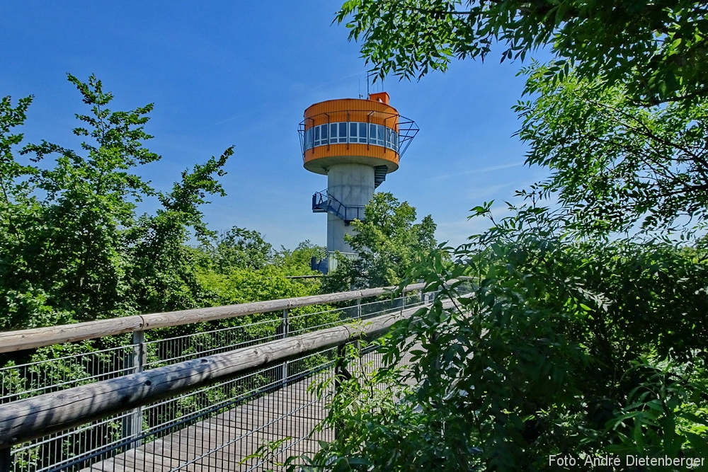 Nationalpark Hainich - Baumkronenpfad Turm
