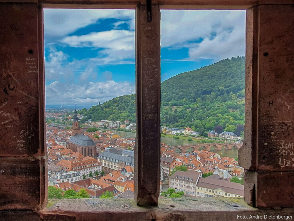 Sicht vom Schloss auf Heidelberg