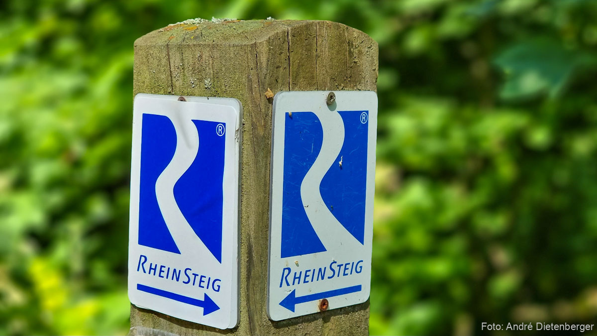RheinSteig