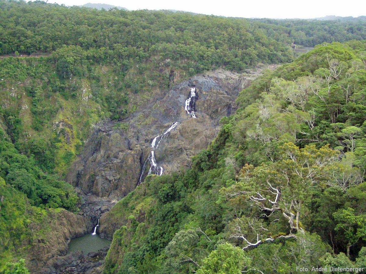 Barron Falls aus der Seilbahn