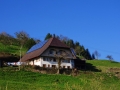 Oberharmersbach Wanderung