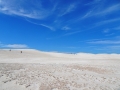 dsc09584