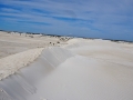 dsc09592